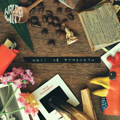 Wake Me Tomorrow