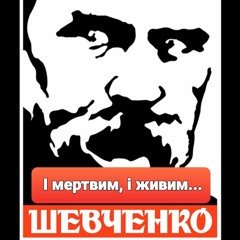 Dimitri Vegas, MOGUAI & Like Mike vs. T.Shevchenko - І мертвим і живим (Biliак MashUp)