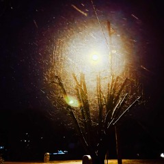 Sunfall (unreleased)