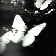 Rocaine [Lil Baby type beat] G#min