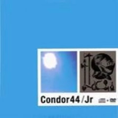 Stream ricatx | Listen to Condor44 playlist online for free