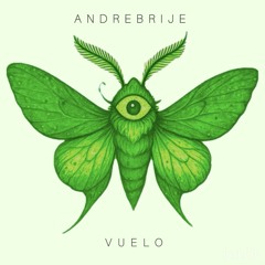 VUELO