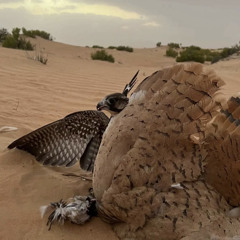 ‎⁨يالله اليا ضاقت عليك التساهيل