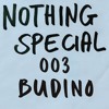 Nothing Special 003: Budino DJ mix artwork - Electronic music tracklist cover image