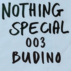 Nothing Special 003: Budino