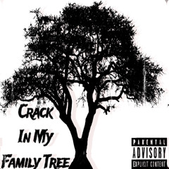Crack In My Family Tree