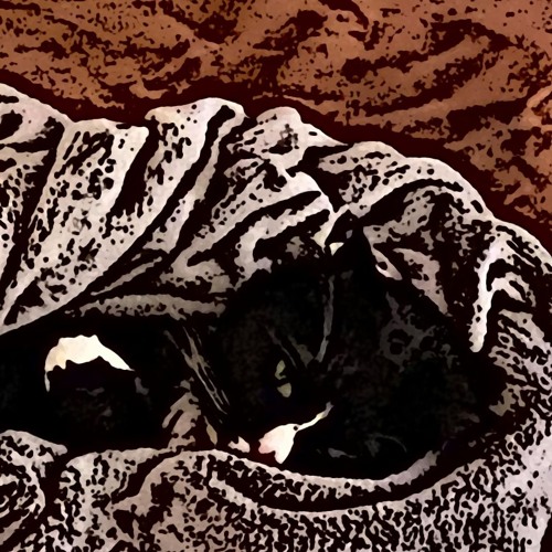 "I did it; it's my fault and I'm so, so sorry" - Alice in Numberland ep. 1