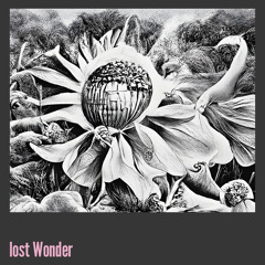 Lost Wonder