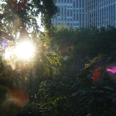 avari - bluffing (matt)