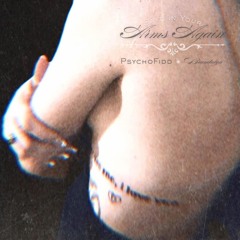 Safe In Your Arms Again - Single