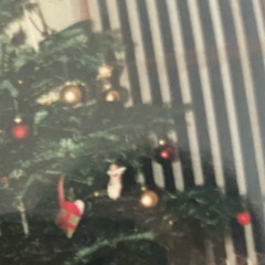 Guldager Studio - December Remember