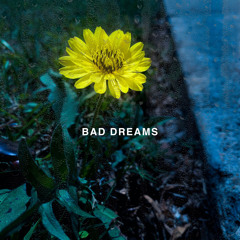 BAD DREAMS 🌦 (Yung Succ)