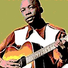 I'm Going Mad (Bonefi remix) - John Lee Hooker