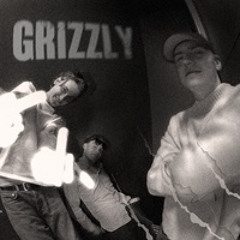 GRIZZLY - PROBLEMBARN (speedup)