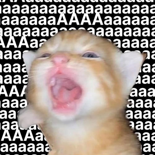 Edit/Remix/flip/bootleg