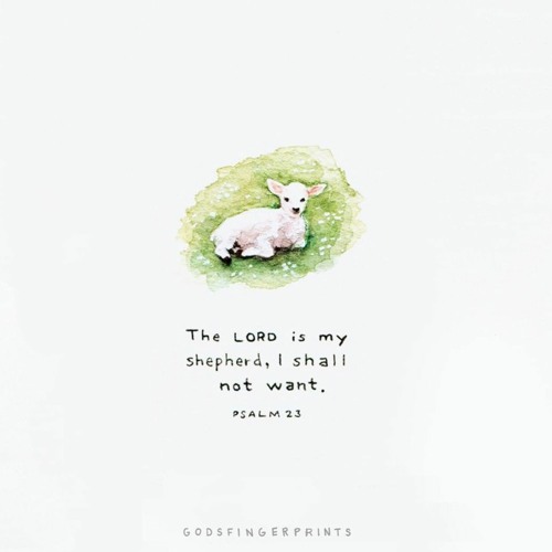 The Shepherd and The Sheep (Cover)|AKC