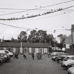 1. Habitat- Oh, the Wind