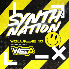 SYNTH NATION VOL 10