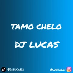 TAMO CHELO ✘ DJ LUCAS (El Nova) 2k21