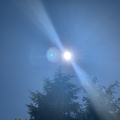 Frequency activation