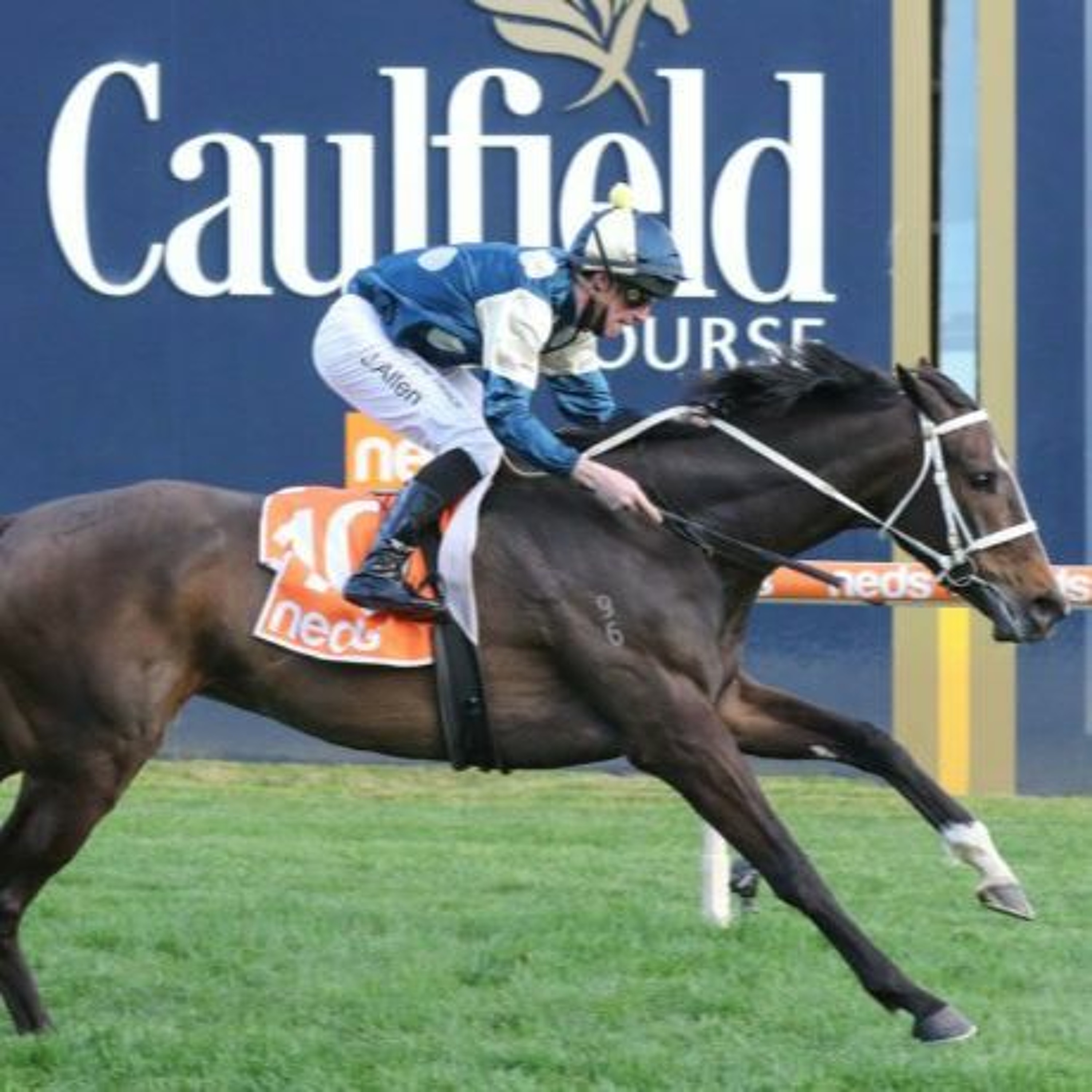 P.B. Lawrence Stakes Day Review