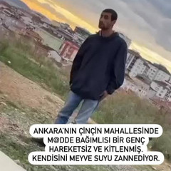 beyin bedava freestyle