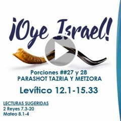 OYE ISRAEL  ##27/28 PARASHOT TAZRIA & METZORA