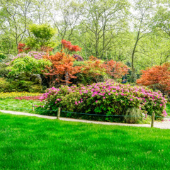 Landscape Design Types Of Landscapes And Design Trends