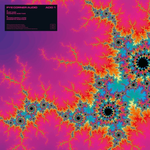 B1. Pye Corner Audio - Wanna Show U Acid