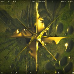 What So Not, The Upbeats & Stace Cadet - Wanted