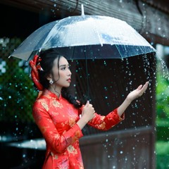 Memories In The Rain