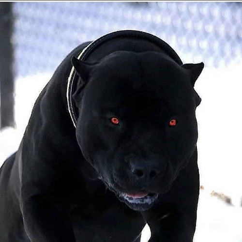 Gc Productions - Optie (Prod. Blockie)