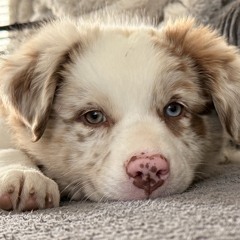 liveset tiktok 10-8.WAV