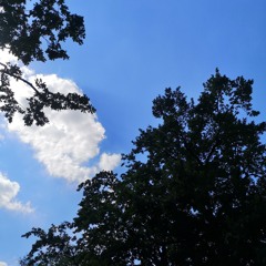 Bis die Sonne wieder scheint