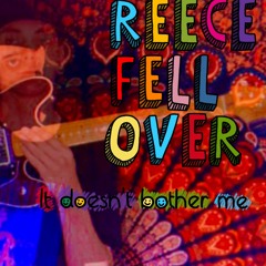 Reece Fell Over - It Doesn't Bother Me