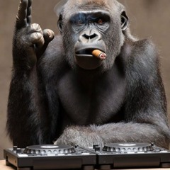 Smokey Mini Mix - Jumping Up 2