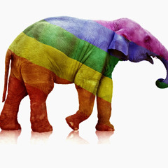 Elephant (L'elefante gay)