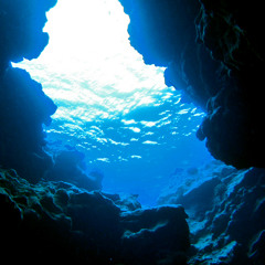 The Abyss