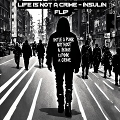 Life Is Not A Crime - InSulin Flip