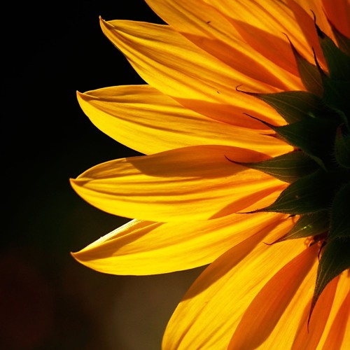 The Bright Side #23 | Hernan B |