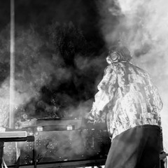 SYnk at DMF Kasol, Himachal Pradesh. DANKLAND FESTIVAL