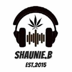 DJ SHAUNIE.B -  in the mix - an early years  upload