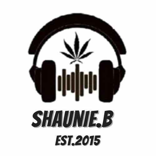 DJ SHAUNIE.B -  in the mix - an early years  upload