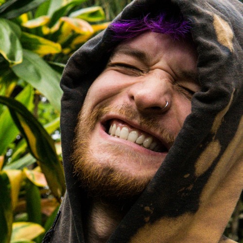 Sebastian Zocher - Meaningless