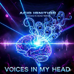Acid Ignition ( voices in my head )