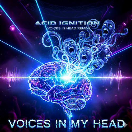 Acid Ignition ( voices in my head )