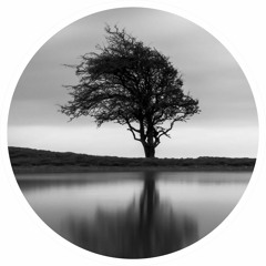 The Hanging Tree - From Hunger Games: Mockingjay (Seth Ripio REMIX)