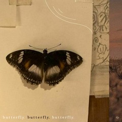 butterfly
