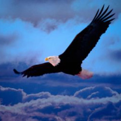 Girl from Yesterday+Tequila Sunrise - Eagles double