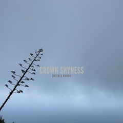 Crown Shyness (Album Preview)